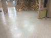 commercial auto showroom chip floor